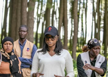 Découverte de Dalaba : joyau touristique de la Guinée ! (Kadé Camara, DG ONT)