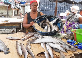 Panier de la ménagère : les femmes se tournent vers le Président Doumbouya pour obtenir de l’aide face à la détérioration des conditions de vie (Reportage)