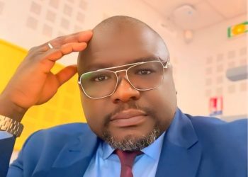 Gouvernance en Guinée : et si la multiplication des ministères traduisait une volonté d’efficacité sectorielle ? (Par Thierno Diawara)