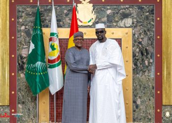 Guinée : Quels sont les secteurs ciblés par le géant nigérian Dangote ?