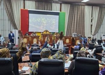 Guinée : les députés donnent les pleins pouvoirs législatifs au président Doumbouya